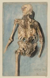 Un cadavre à moitié décomposé vu de dos