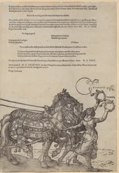 Experientia, planche 8 de la série « Le grand char triomphal »