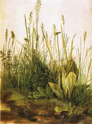 French : Le grand morceau de gazon The Large Piece of Turf