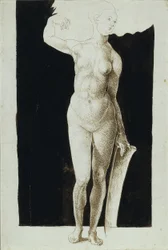 Étude des proportions d