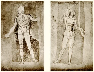 Étude de proportion sur Adam et Ève