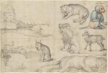 Croquis d