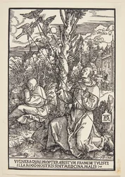 Saint François recevant les stigmates