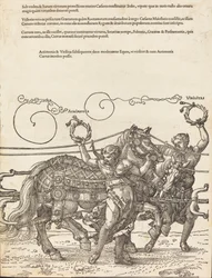 Le Char triomphal de Maximilien I, Le Grand Char triomphal [planche 6 de 8], édition latine de 1523
