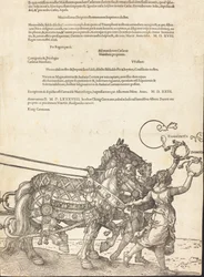 Le char triomphal de Maximilien I Le Grand Char Triomphal [plaque 8 de 8], édition latine de 1523