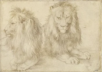Deux lions assis, 1521