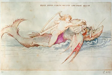 Le poète grec Arion chevauchant le dauphin, vers 1515 (aquarelle sur papier)