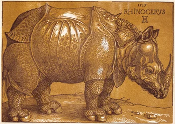 Le rhinocéros