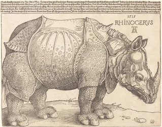 Le Rhinocéros