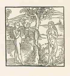 La chute. Illustration de " Der Ritter von Turn " , vers 1493-93 (gravure sur bois)