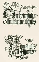Title of the German Edition of 1498 : La révélation secrète de iohannis ...