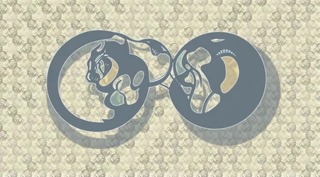 Résumé : Feline Infinity