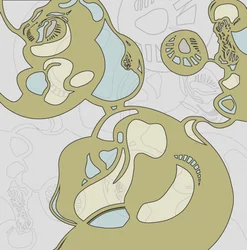 Formes organiques fluides