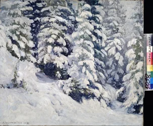 Forêt en hiver