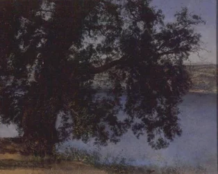 Arbre dans l