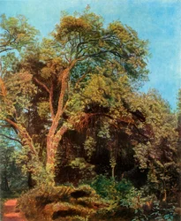 Arbre dans le parc, milieu du 19e siècle, 1965