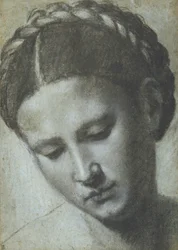 Tête de femme avec cheveux tressés