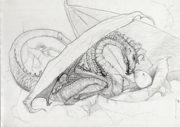 Créature fantastique : un dragon protégeant son œuf.