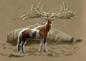 Monstres et créatures fantastiques, cryptozoologie : représentation d