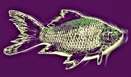 Poisson