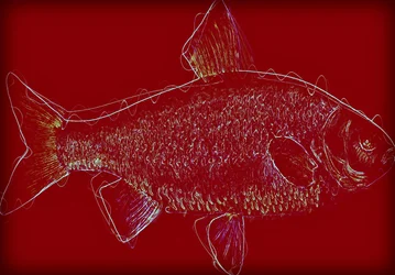 Poisson V, 2020