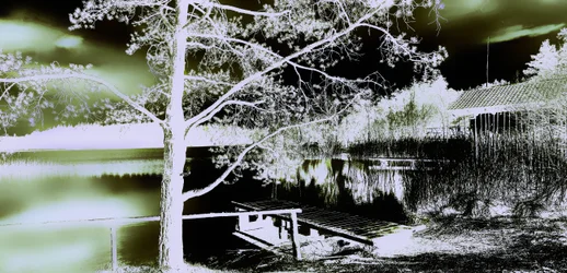Jardin secret