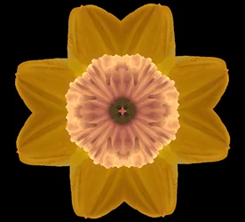 Symétrie