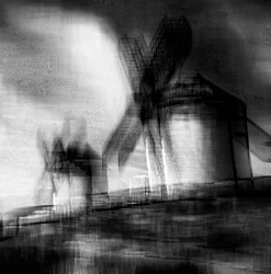 Ailes du vent