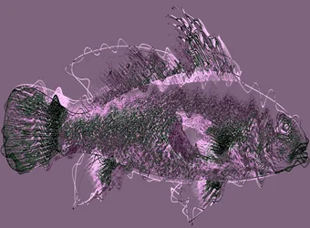 Poisson III, 2020
