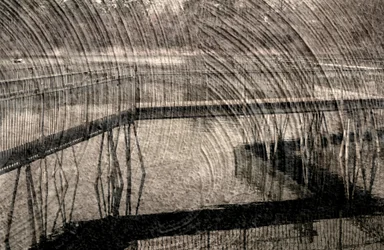 invisible, 2019