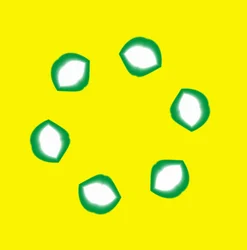 Lèvres, 2019