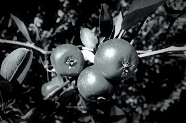 Rétention, 2019