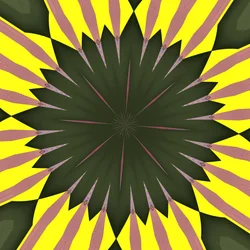 Tournesol, 2019