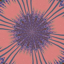 Symétrie #34, 2019