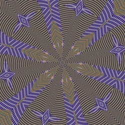 symétrie #38
