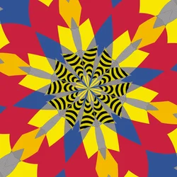 symétrie #6