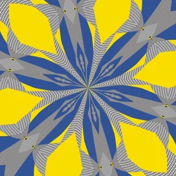 symétrie #8