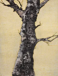 Un arbre nu saisissant