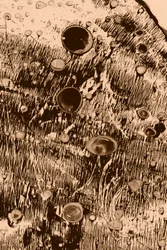 Oxygène