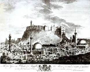 Vue de la ville et du château d