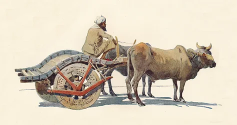 Un chariot à bœufs, Jodhpur, vers 1880 1905