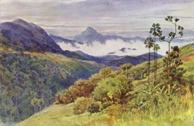 Brumes matinales dans la vallée du Mahawelli Gangha (lithographie en couleur)