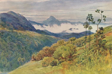 Brumes matinales dans la vallée du Mahawelli Gangha, vers 1880-1905