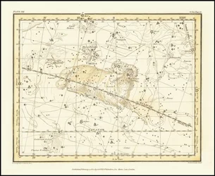 1822 - Alexander Jamieson - Bélier