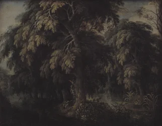 Paysage boisé