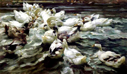 Rassemblement de canards