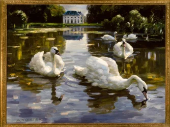 A.Koester, Cygnes à Nymphenburg