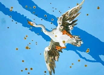 Constellation des Poissons, 1603