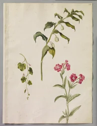 Alexander Marshal (RCIN 924420)