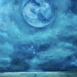Seul dans le ciel nocturne